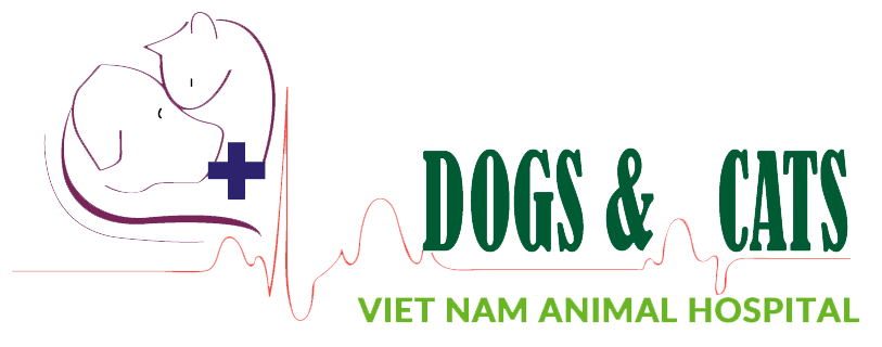 Hệ thống bệnh viện thú y DOGS & CATS VIỆT NAM
